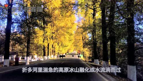 娱乐吃瓜君的作品